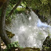 Природный парк Крка (Хорватия) :: tamara *****
