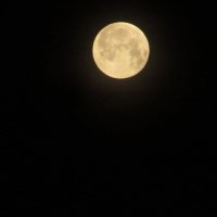 Луна после затмения :: Лариса 
