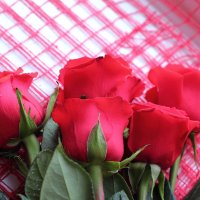 Алые розы любви :: Лидия (naum.lidiya)