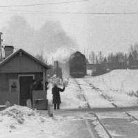 Грузовой поезд на ветке Бужаниново - Химзавод. :: Игорь Олегович Кравченко