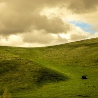 Одинокий домик. :: Виктория Пашкова