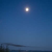 Луна :: Екатерина Рябинина