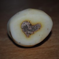 сердце картофеля :: Полина Дюкарева