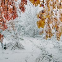 Первый снег :: Евгений Турков