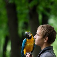 Очаровательный попугай в Коломенском :: Сергей Королев