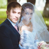 wedd :: Igor Dergilev