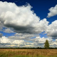 осенние облака :: Марина Черепкова