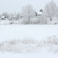 Зима :: Ольга Шишкина
