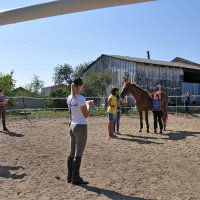 Выступление закончил/выделение  СКЦ :: Иван Королевский