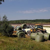 Заготовка сена в холдинге "Мираторг". Триптих. Часть 2. Брянская область :: MILAV V