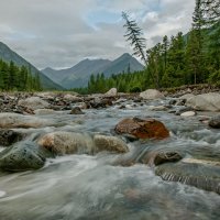 Река Шумак... :: Сергей Герасимов