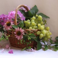 корзина с цветами и виноградом :: Татьяна 