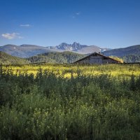 Каракольская долина :: Галина Шепелева