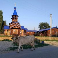 в Старой Жуковке :: Оксана Полякова