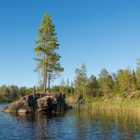 Энгозеро, Карелия :: Владимир Брагилевский