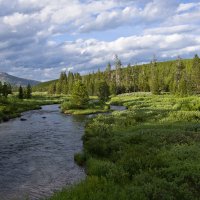 Обсидиановый ручей. Obsidian creek. Yellowstone. :: Александр Крупский