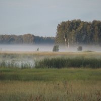 Туман на рассвете :: Светлана Рябова-Шатунова