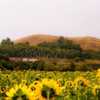 - :: Игорь Александрович Оренбург