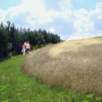 "Грибники літньої пори" :: Ростислав Кухарук