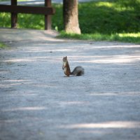 "Стою, стою... Жду, жду... и никого!" :: Владимир Безбородов