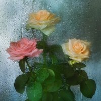 Roses of dreams :: Юлия Эйснер