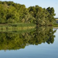 ОТРАЖЕНИЯ.... :: Наталья Меркулова