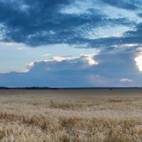 панорама поле и облака :: Егор Кандауров