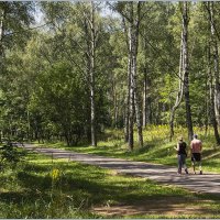 В лесопарке. :: Роланд Дубровский