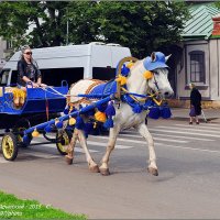 СУЗДАЛЬСКАЯ АМАЗОНКА :: Валерий Викторович РОГАНОВ-АРЫССКИЙ