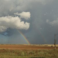 Крым,Межводное :: Ninell Nikitina