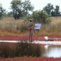 Два-в-одном или летний пленер :: Владимир Плужников