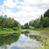 На речке :: Людмила Смородинская