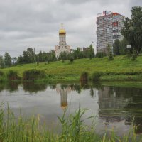 Лето в лесопарке :: Юрий Велицкий