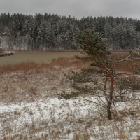 Псковщина :: Владимир Колесников