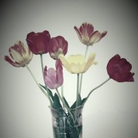 Букет тюльпанов разных :: Дмитрий Никитин