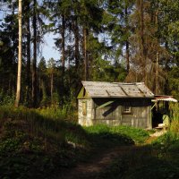 Живописная лачуга :: Андрей Лукьянов