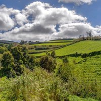 Azores 2018 Sao Miguel 34 :: Arturs Ancans