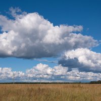 Облака над полем :: lady v.ekaterina