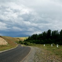 А дорога серою лентою вьётся... :: Сергей Ермишкин