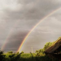 Rainbow :: Юлия Казачкова