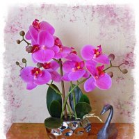 Лебедь и орхидея :: Nina Yudicheva