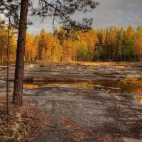 Тёплая палитра вечера :: Константин 