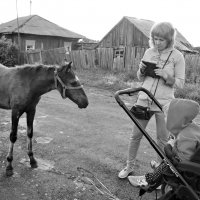 Привет, коняшка! :: Светлана Рябова-Шатунова
