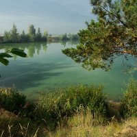 Зеленая вода :: sergej-smv 