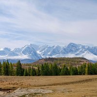 осень. Северо-Чуйский хребет :: nataly-teplyakov 