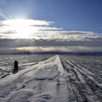 дорога :: Алексей Логинов