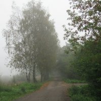 Туманным утром в сентябре :: Елена Павлова (Смолова)