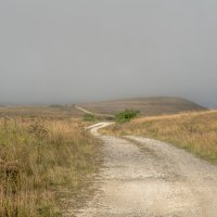 Дорога в никуда :: Константин Поляков