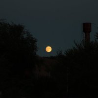 луна :: Ната Кривошеева
