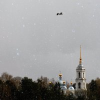 Первый снег :: Галина Aleksandrova